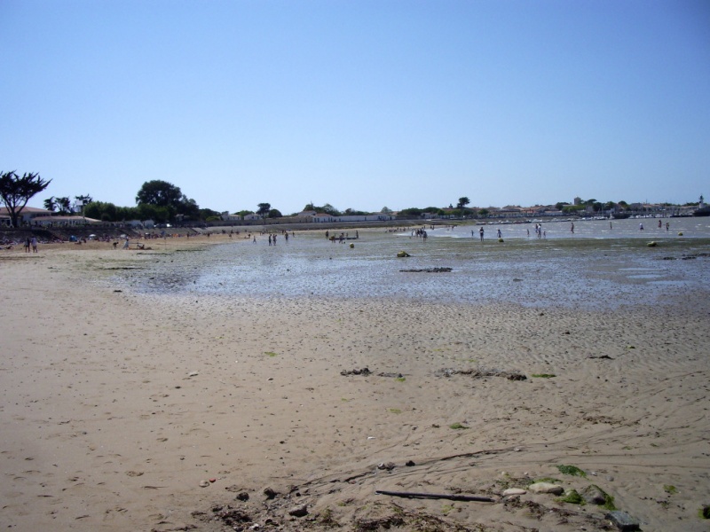 File:20100813 Ile de Re - FR - Spiaggia con bassa marea.JPG