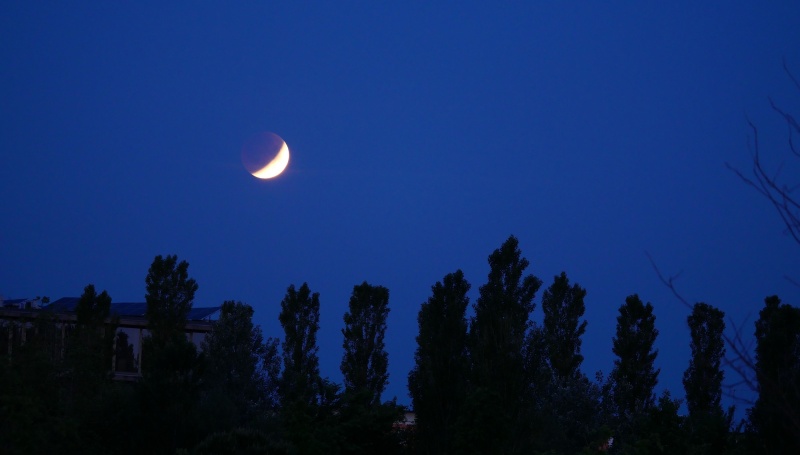 File:20220516 Eclissi totale di Luna (ee).jpg