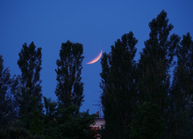 File:20220516 Eclissi totale di Luna (hh).jpg