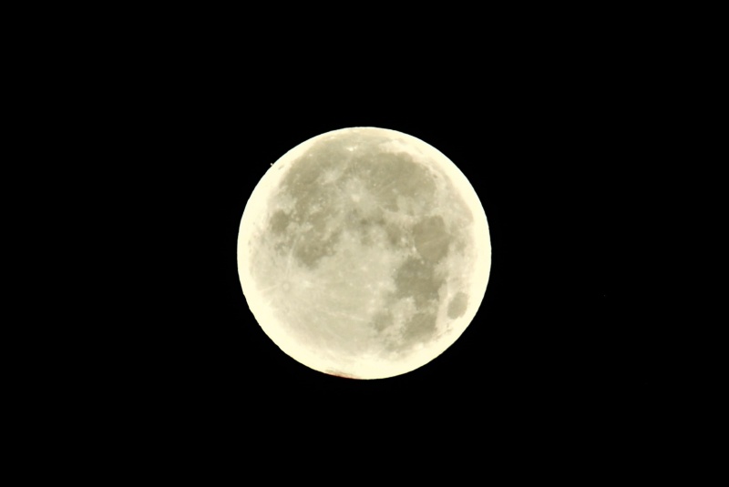 File:Berzuini Luna-Marte 2.jpeg