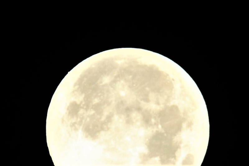File:Berzuini Luna-Marte 4.jpeg