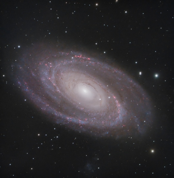File:Cdm Marzo M 81 Galassia di Bode Loris Ferrini.jpg