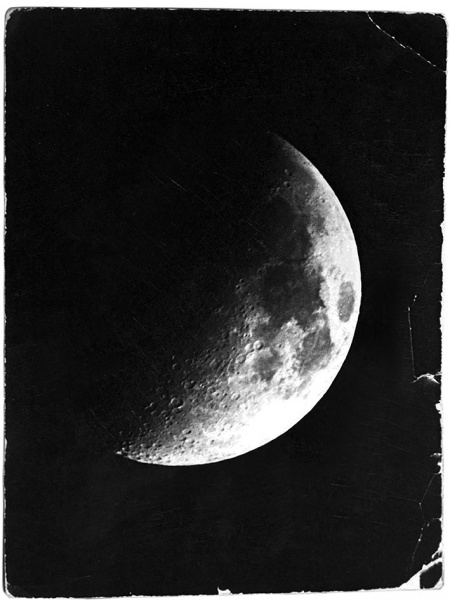 File:Foto luna fagioli.jpg