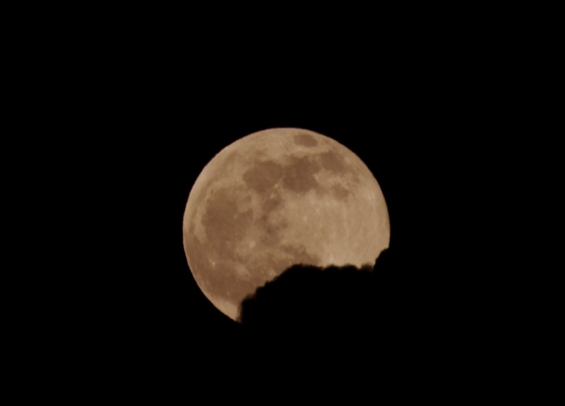 File:GDedona luna Pasqua2022.jpg