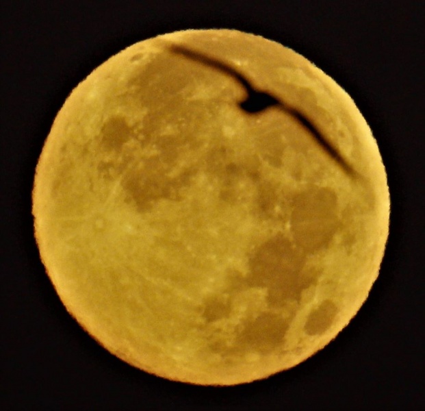 File:Ghione luna apr2020.jpg
