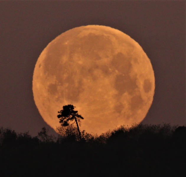 File:Ghione luna piena1 apr2020.jpg