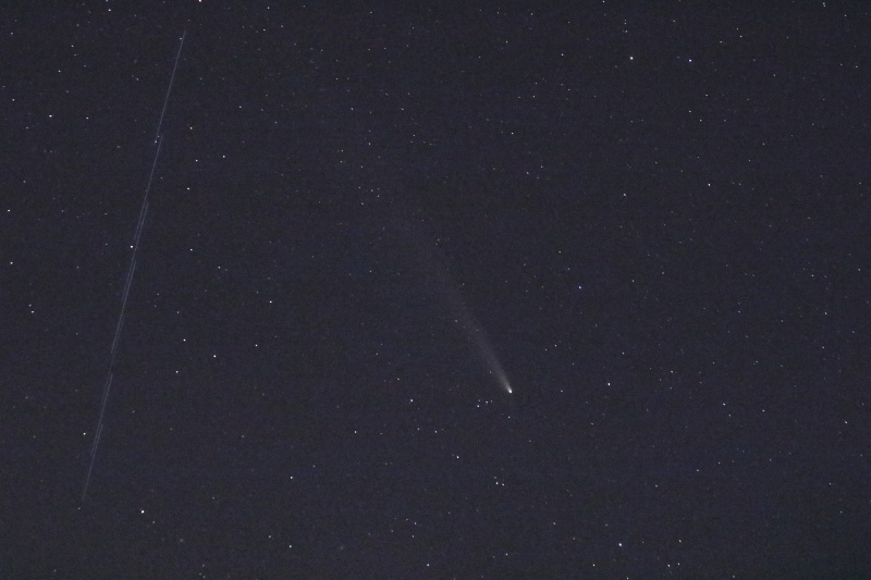 File:IMG 0037 AAP cometa starlink.JPG