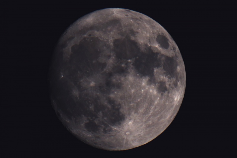 File:IMG 6248 LUNA CROP 09-06-2025.JPG