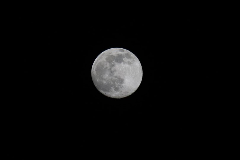 File:Luna piena 28mar2021 pasquale.jpg