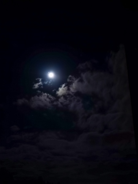File:SLagomarsino Luna-Marte occultazione.jpg