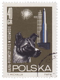 Immagine:Laika_Sputnik_2_-_Polonia_1964.jpg