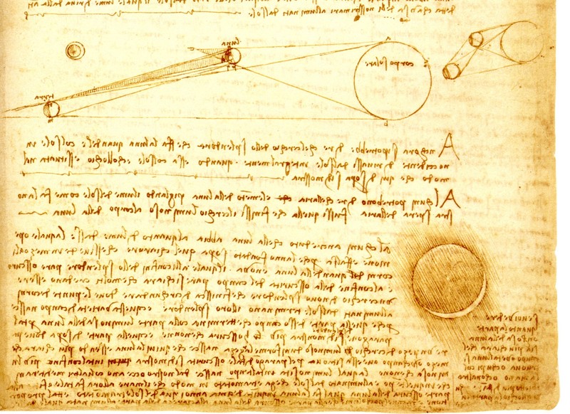 File:Luce cinerea codice Hammer.jpg