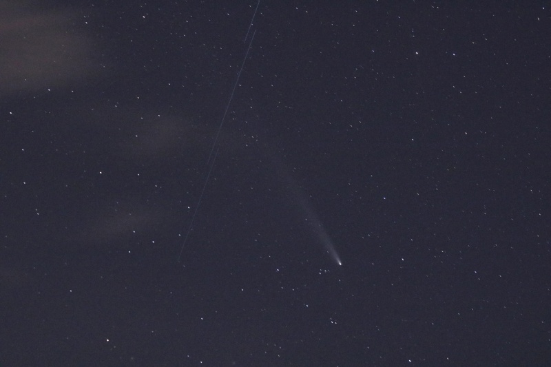 File:46 AAP cometa starlink.jpg