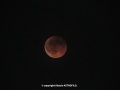 Miniatura della versione delle 15:40, 26 set 2025