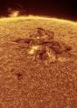 Miniatura della versione delle 22:38, 28 mag 2025