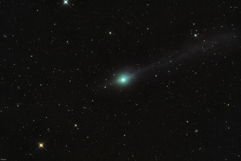 File:Apod 2025 cometa 3I ATLAS Ligustri.jpg