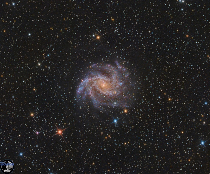 File:Astrofoto Aprile 2022 Fireworks Galaxy.jpg