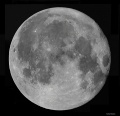 Miniatura della versione delle 09:28, 7 apr 2012