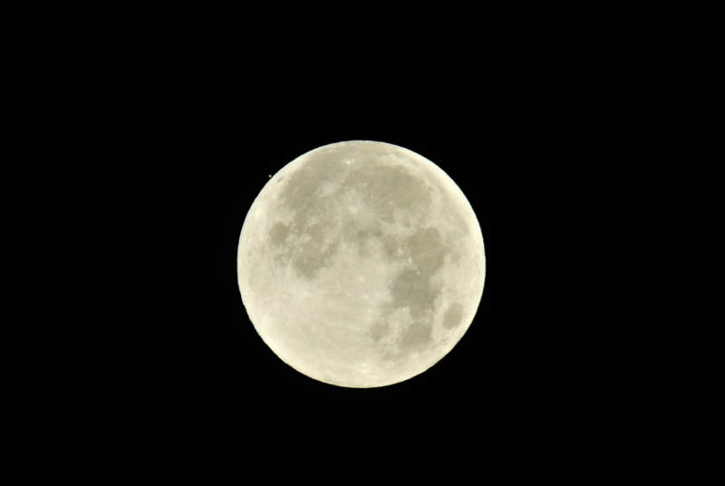 File:Berzuini Luna-Marte 3.jpeg