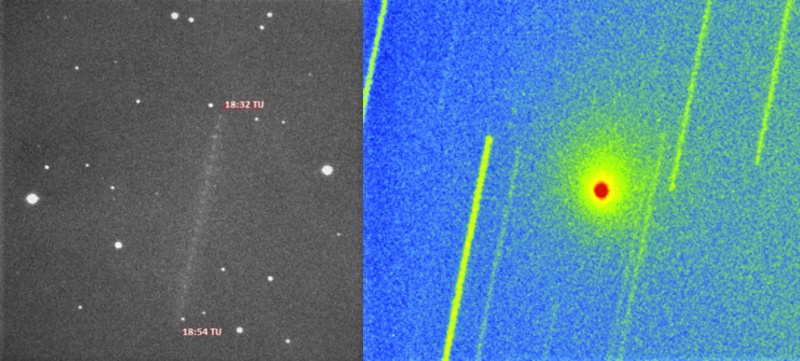 File:Cometa C2018 Y1 Iwamoto16 febbraio 2019.jpg