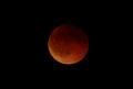 Miniatura della versione delle 07:07, 9 set 2025