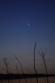 Miniatura della versione delle 14:03, 19 mar 2013