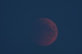 Miniatura della versione delle 19:55, 20 giu 2011