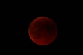 Miniatura della versione delle 19:55, 20 giu 2011