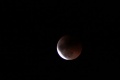 Miniatura della versione delle 20:15, 20 giu 2011