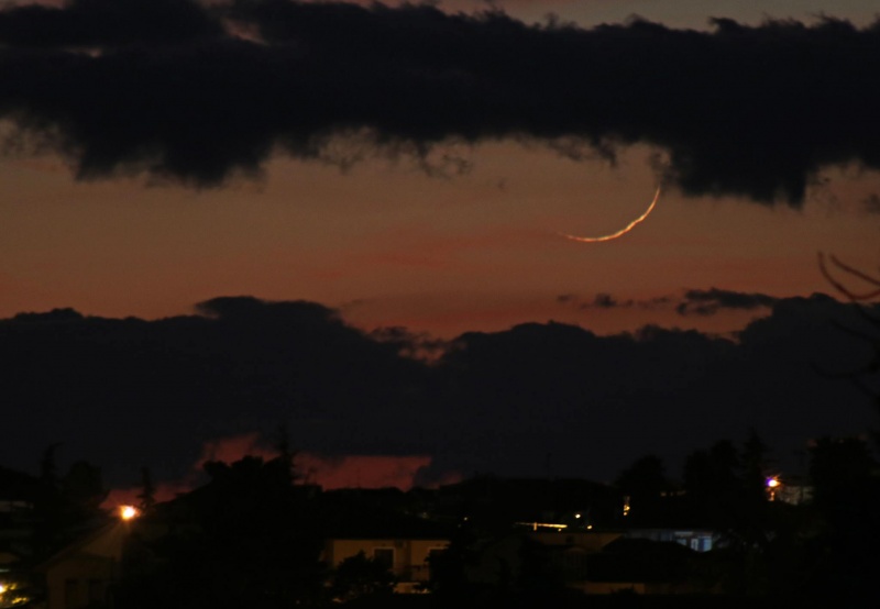 File:Falcetto Luna 19-11-17 Giuseppe Pappa.jpg