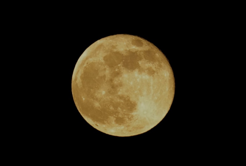 File:GDedona aprile2021.jpg