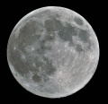 Miniatura della versione delle 11:18, 8 apr 2020