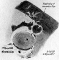 Miniatura della versione delle 16:20, 21 nov 2010