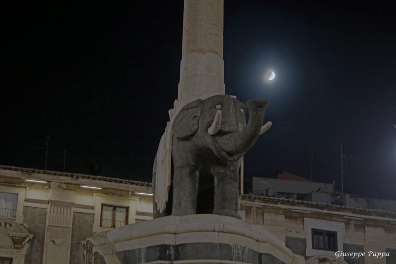 File:IMG 6003gp.jpg