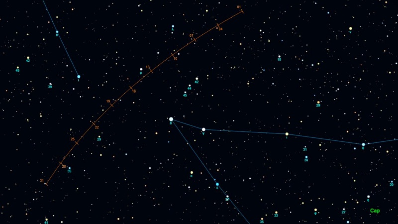 File:Linear maggio.jpg