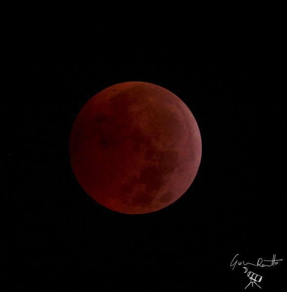 File:Luna Rossa eclissata Giovanna Ranotto .jpg