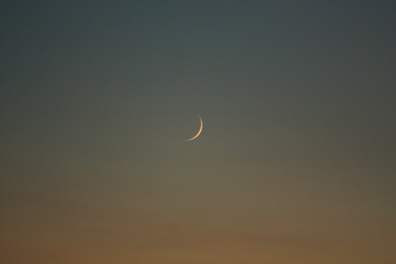 File:Luna nuova.jpg