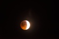 Miniatura della versione delle 21:33, 21 gen 2019