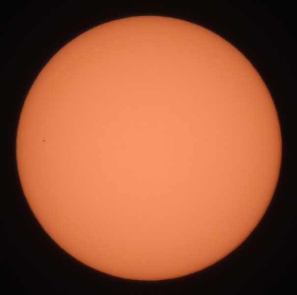 File:Marella IMG 20191111 145656.jpg