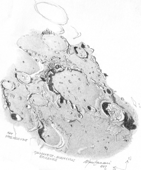 File:PSL Anaxagoras DisegnoAlfonsoZaccaria.jpg