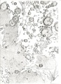 Miniatura della versione delle 21:12, 17 mag 2011