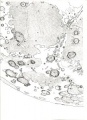 Miniatura della versione delle 21:12, 17 mag 2011
