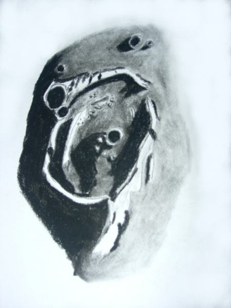 File:PSL Posidonius disegno Andrea Boscolo.jpg