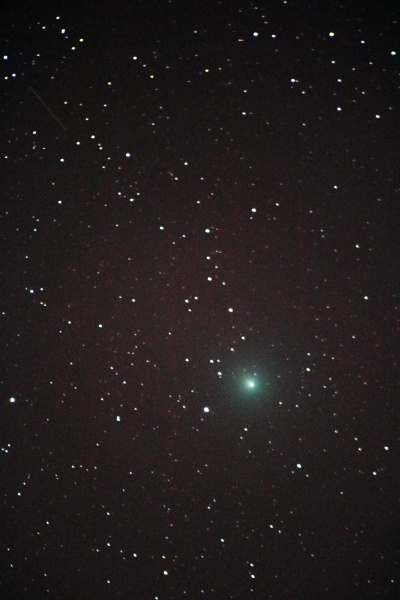 File:Pappa 46P 20181209 2017.jpg