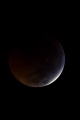 Miniatura della versione delle 20:56, 21 gen 2019